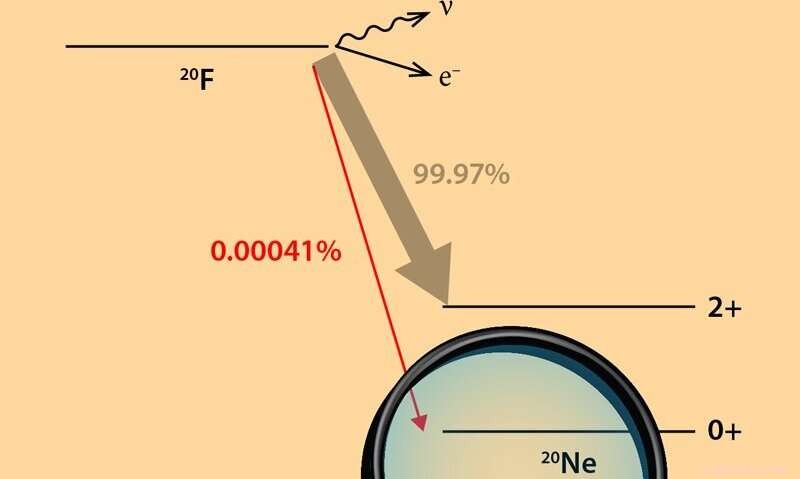 Scientists Achieve First Accurate Measurement of Neon‑20 Electron‑Capture Probability