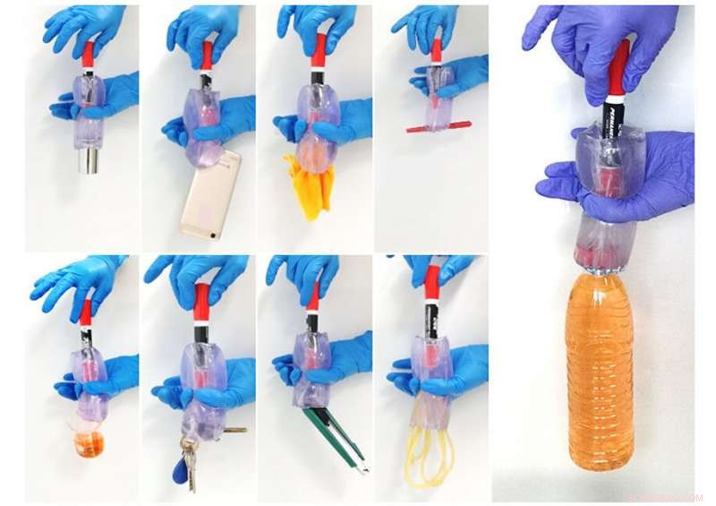 Sea Anemone-Inspired Robotic Gripper Offers Versatile, Cost-Effective Object Manipulation