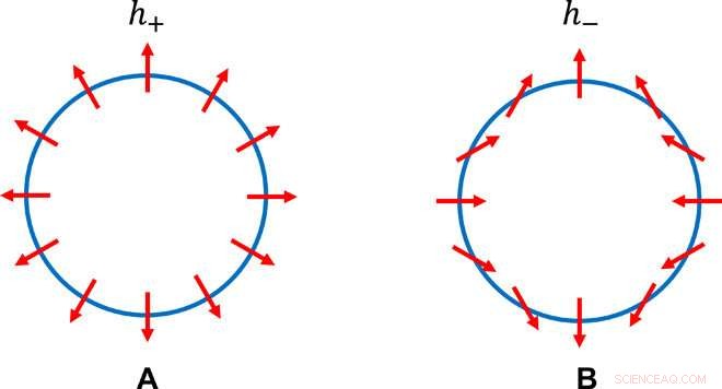 New Surface Rotation Anomalies Reveal Novel Classes of Topological Crystalline Insulators