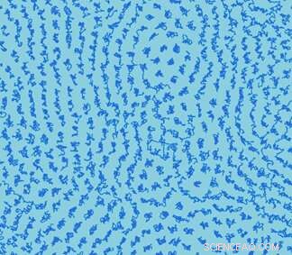 Physicists Demonstrate Fundamental Differences Between 2D and 3D Liquids