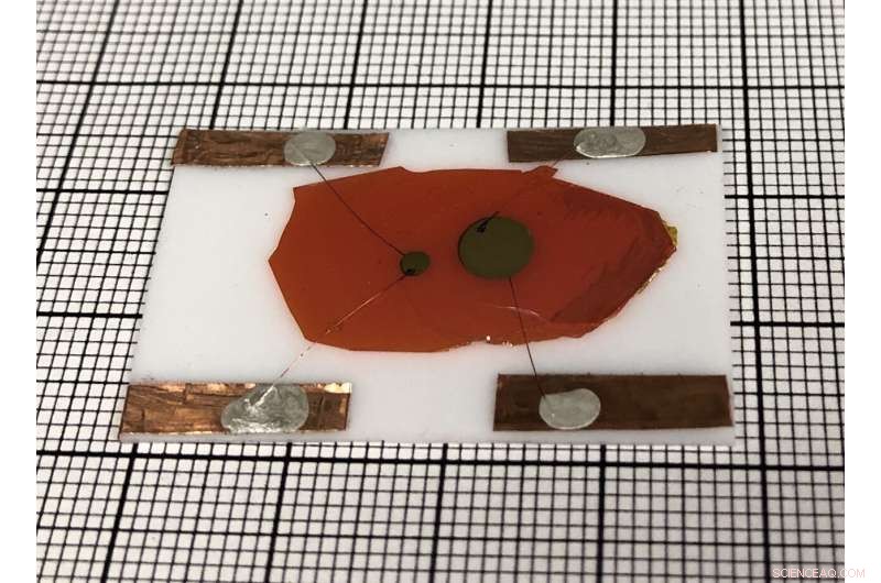 Researchers Showcase First Stable Semiconductor Neutron Detector