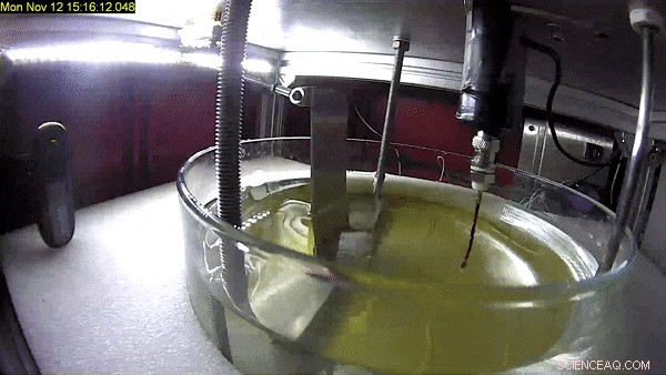 Exploring High-Gravity Water Waves in ESA’s Large Diameter Centrifuge