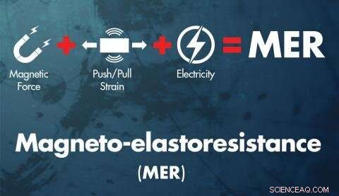 MER Explained: A New Metric for Quantum Materials Unveils Breakthrough Insights