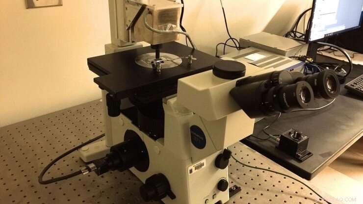 Unveiling Microscopic Forces: Advances in Single-Molecule Force Spectroscopy