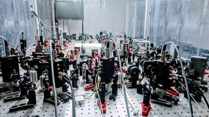 Entangled Quantum Networks Enable Ultra‑Precise Distributed Sensing