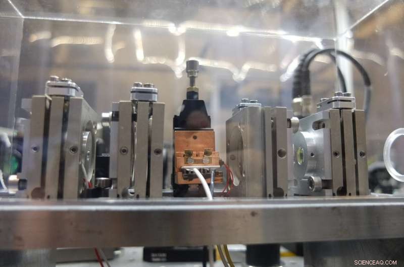 Entangled Quantum Networks Enable Ultra‑Precise Distributed Sensing