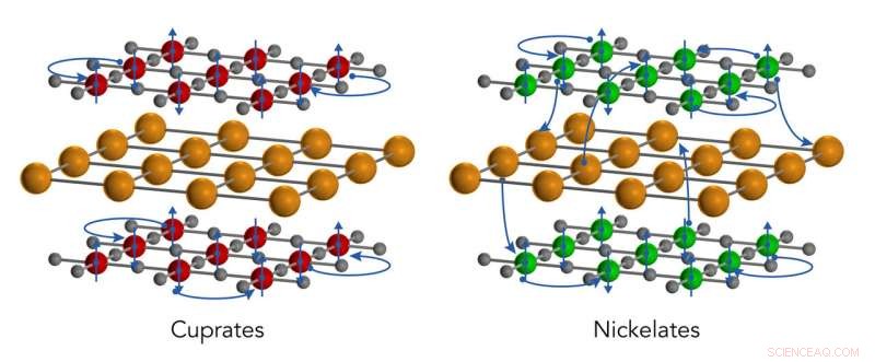 Comprehensive Electronic Analysis Uncovers Novel Properties of Nickelate Superconductor