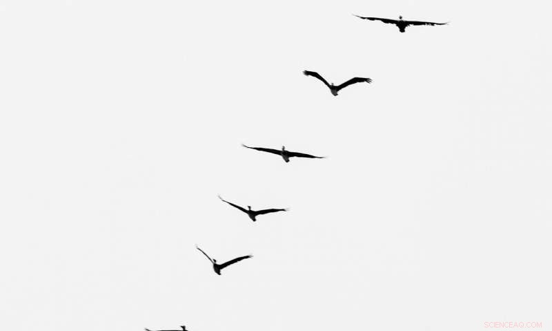 Physics Reveals How Imperfections Lead to Perfection