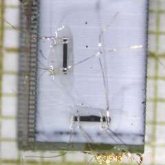 New Study Reveals How Strain Enhances Superconductivity in Electronic Nematic Materials