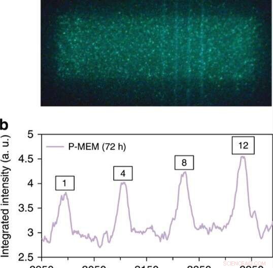 Enhancing Memory in Pressure‑Sensitive Phosphors