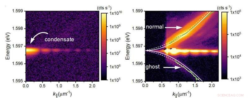 Ghost Particles Observed in Light-Matter Condensates: A Quantum Breakthrough