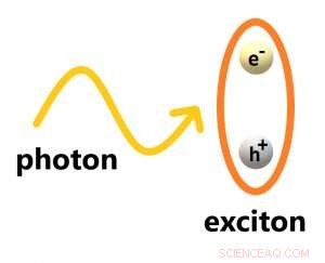 Ghost Particles Observed in Light-Matter Condensates: A Quantum Breakthrough