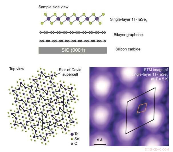 Scientists Reveal Distinct Orbital Texture in Monolayer of 3D Material