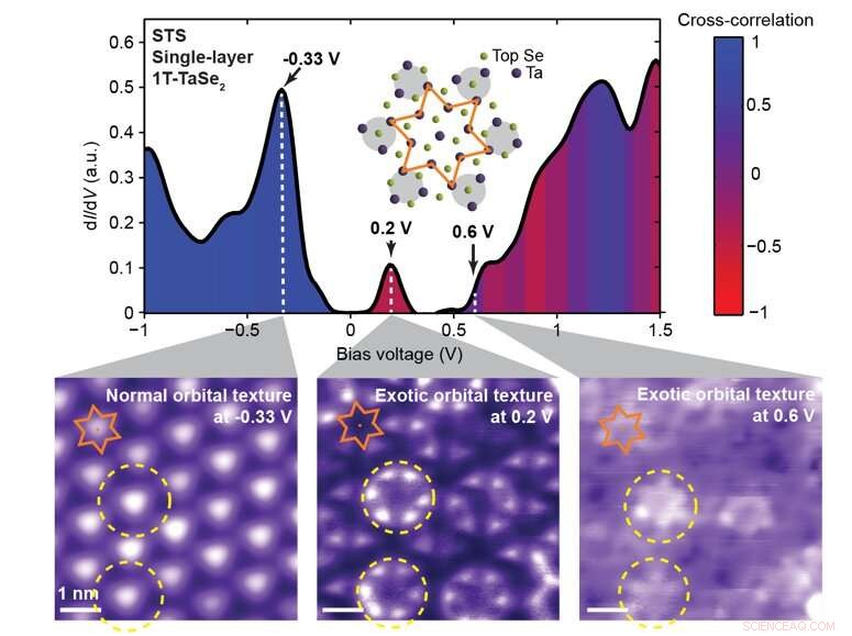 Scientists Reveal Distinct Orbital Texture in Monolayer of 3D Material