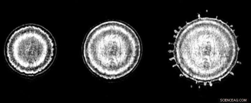 Unveiling Ice Waves: How Supercooled Droplets Freeze Differently
