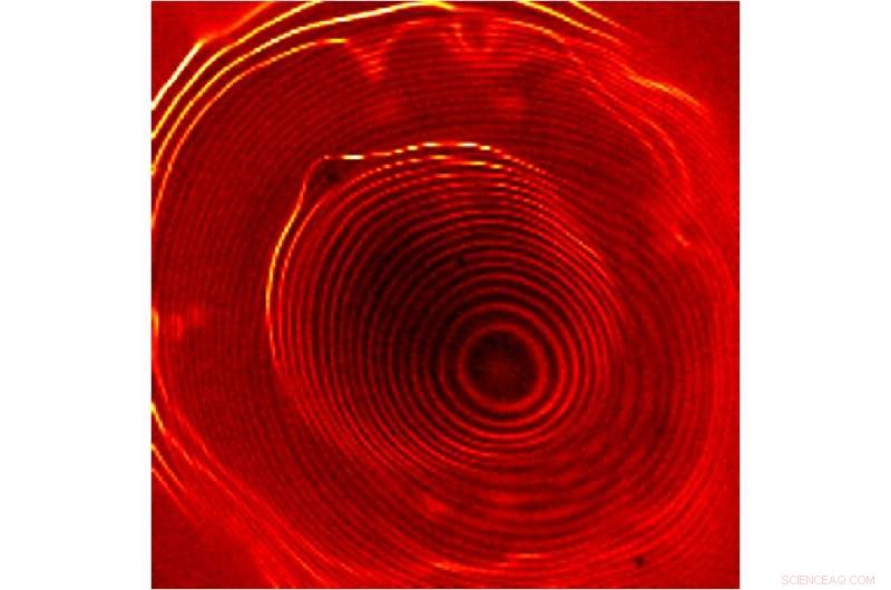 Coupled Quantum Dots Present a Promising New Approach to Quantum Information Storage