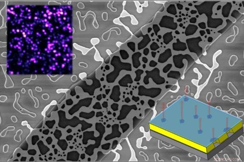 Gold-Enhanced Quantum Technology: Researchers Achieve Breakthrough