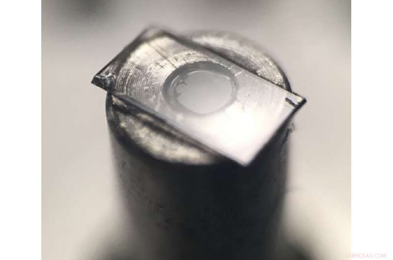 Measuring Quantum Spin Dynamics in Rapidly Rotating Diamond Structures