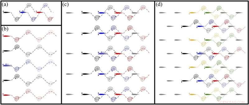 Researchers Reveal Optimal Fish Schooling Patterns for Speed and Energy Efficiency