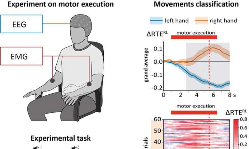 New EEG Technique Enables Precise Detection of Motor-Related Brain Activity
