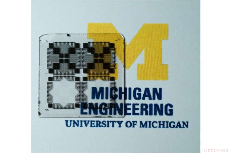 Revolutionary 3‑D Camera Enhances Autonomous Safety and Biomedical Imaging