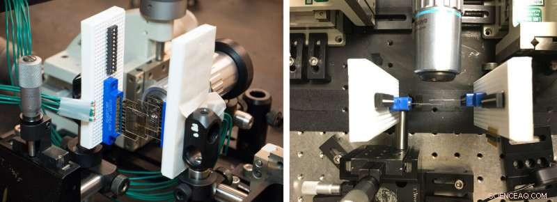 Revolutionary 3‑D Camera Enhances Autonomous Safety and Biomedical Imaging