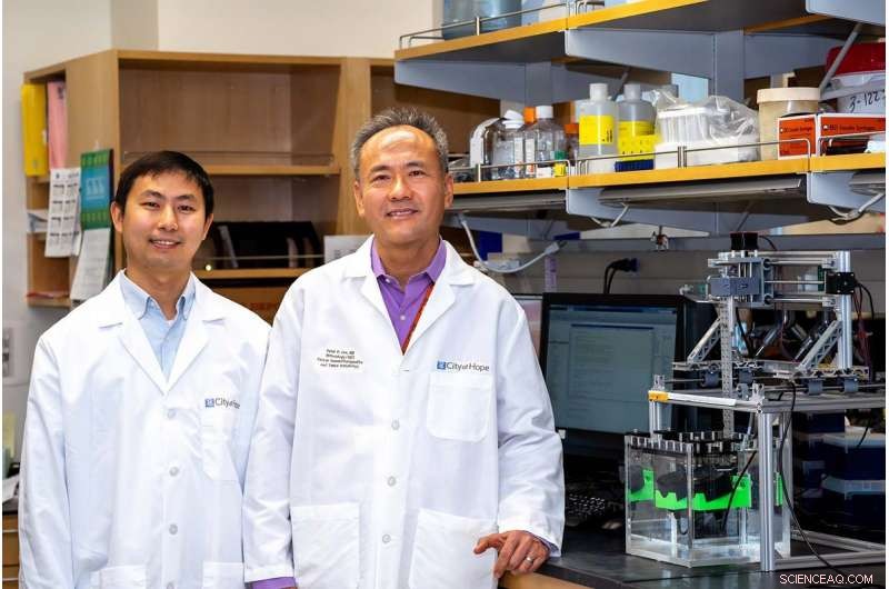 Targeted Ultrasound Therapy: Precision Killing of Cancer Cells