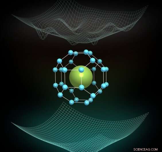 Quantum Fluctuations Sustain the Record-Setting Superconductor