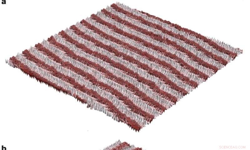 Scientists Discover New Transition in Ferroelectric Materials