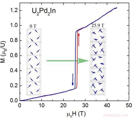 High Magnetic Fields Expose Non-Ferromagnetic Phenomena