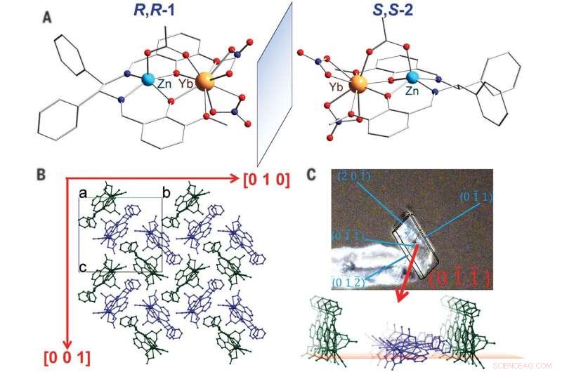New Evidence of Magnetoelectric Coupling in a Paramagnetic Ferroelectric Crystal