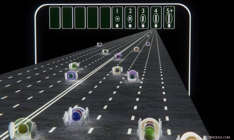 Pittsburgh Scientists Discover Novel Electronic State of Matter