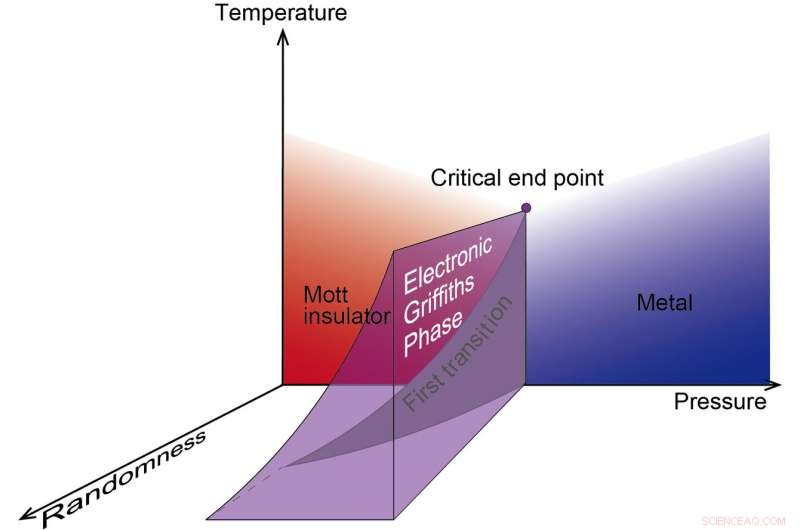Unveiling the Electronic Griffiths Phase in Solid-State Systems