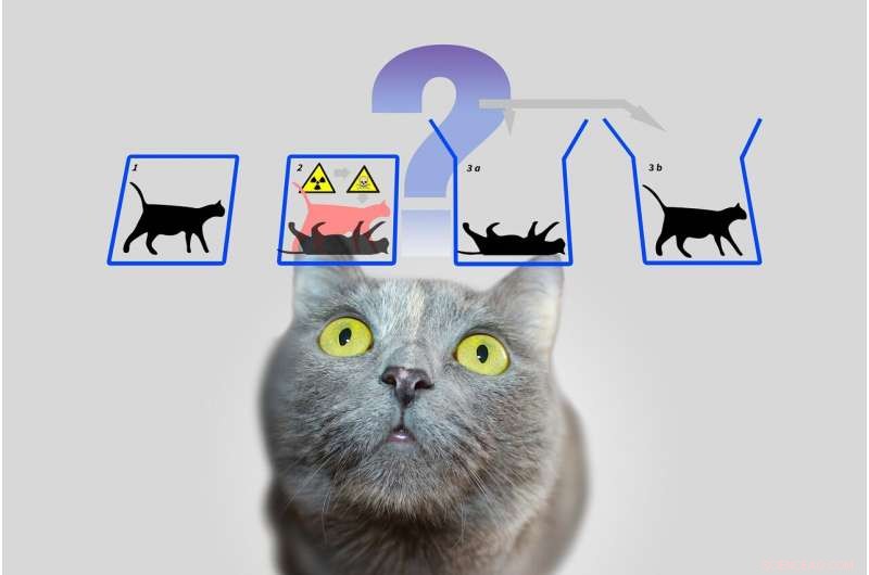 Understanding Schrödinger’s Cat: A Closer Look at the Quantum Paradox
