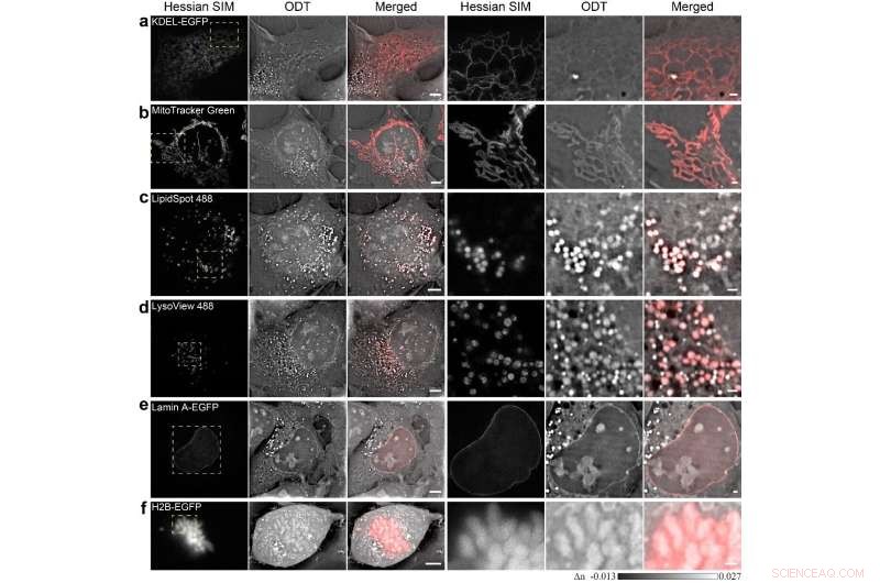 SR-FACT Microscopy Maps the Interactome of Cellular Organelles