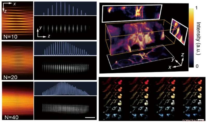Advancing Light‑Sheet Fluorescence Imaging: Enhanced Parallelization for Faster, More Accurate Studies