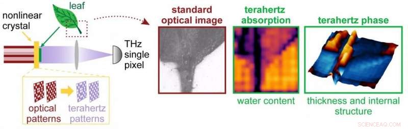 Revolutionary Laser-Terahertz Camera Reveals Hidden Details