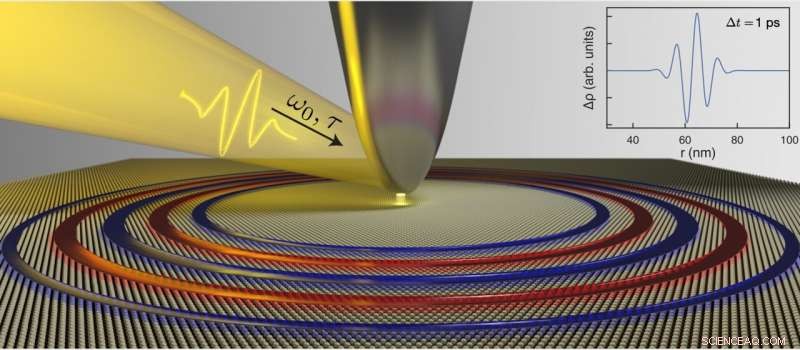 Atomic-Scale Plasmon Control in Monolayer TaS2