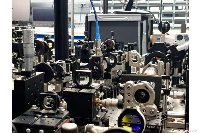 Skoltech & Sheffield Researchers Unveil How Liquid Light Behaves in Organic Materials