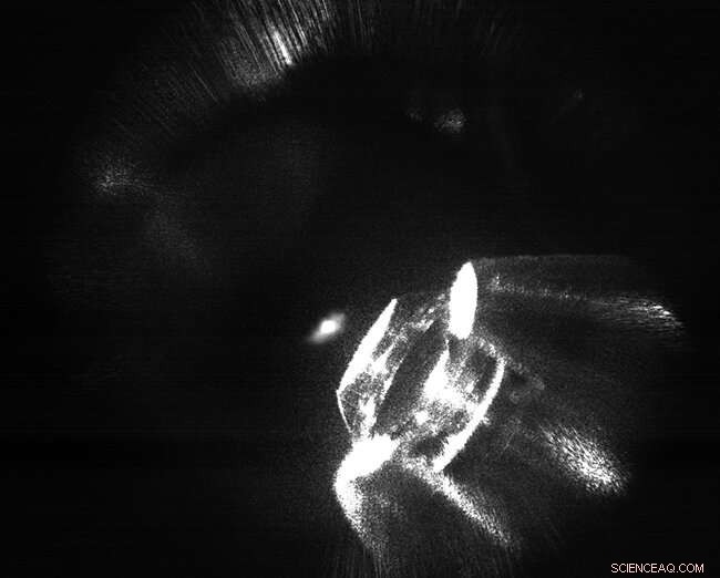 Scientists Secure Individual Atoms, Revealing Novel Quantum Interactions