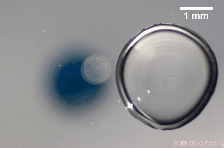 Lights, Camera, Action: Unveiling the Speed of Droplet Dynamics