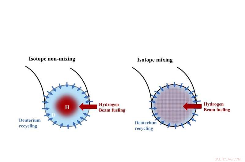 How Isotope Movement Drives the Power of Fusion Reactions