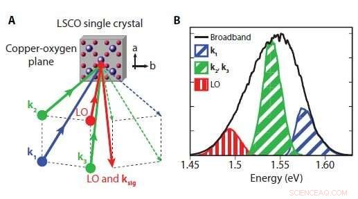 Ultrafast Spectroscopy Unveils Complex Dynamics of Quantum Coherence