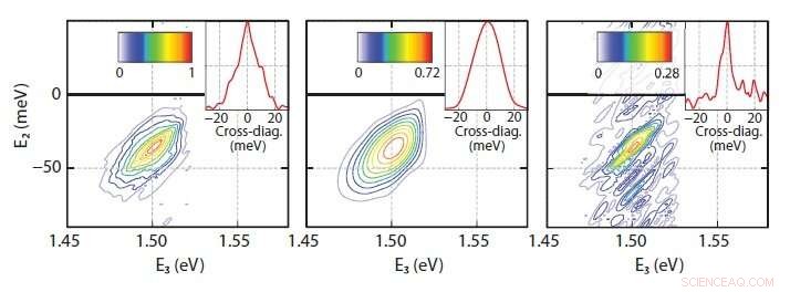 Ultrafast Spectroscopy Unveils Complex Dynamics of Quantum Coherence