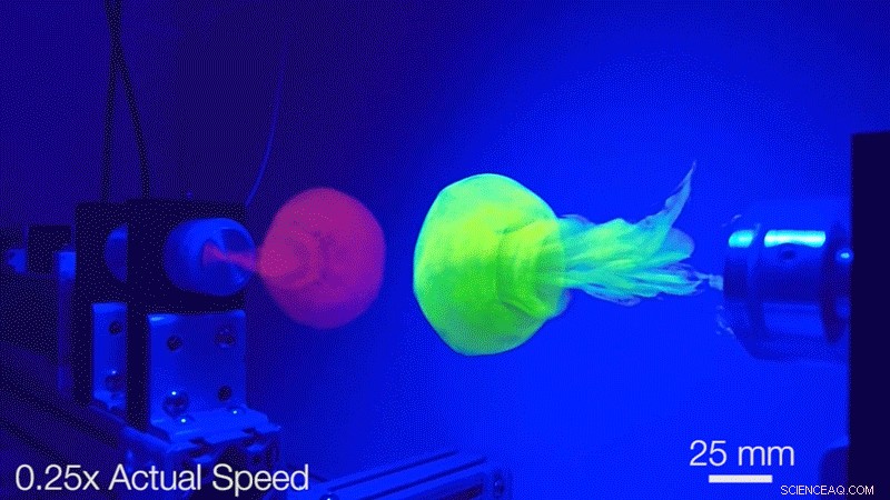 Decoding Turbulence: Fresh Insights into the Transition from Order to Chaos in Fluids