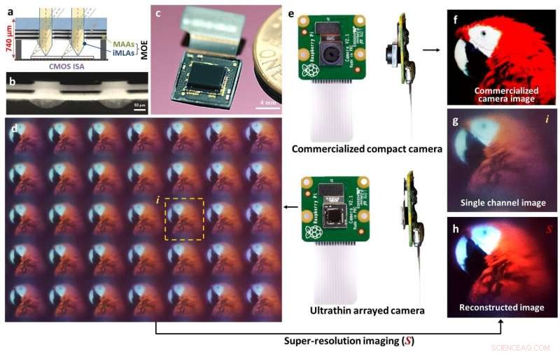 Ultra‑Thin, Bio‑Inspired Camera Array Delivers High‑Contrast, High‑Resolution Imaging