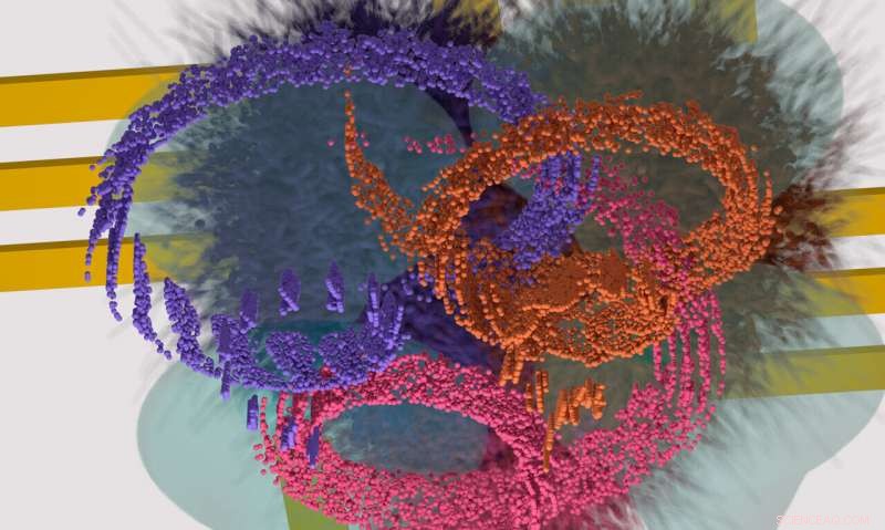 The Non-Existent Magnet: Unveiling Nagaoka Ferromagnetism