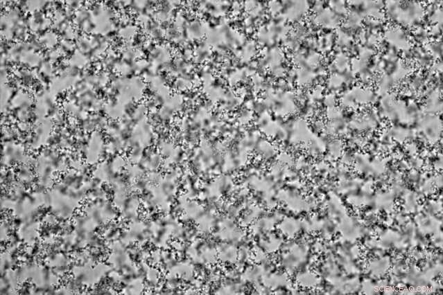 Unveiling Microscopic Motions in Soft Gels