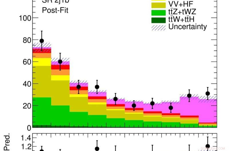 25 Years of Discovery: Single Top Quark Partners with the Z Boson