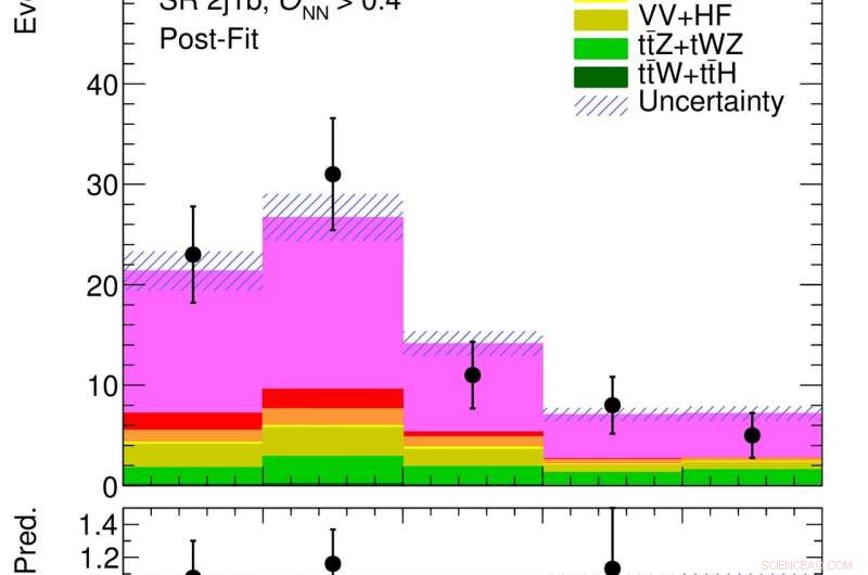 25 Years of Discovery: Single Top Quark Partners with the Z Boson